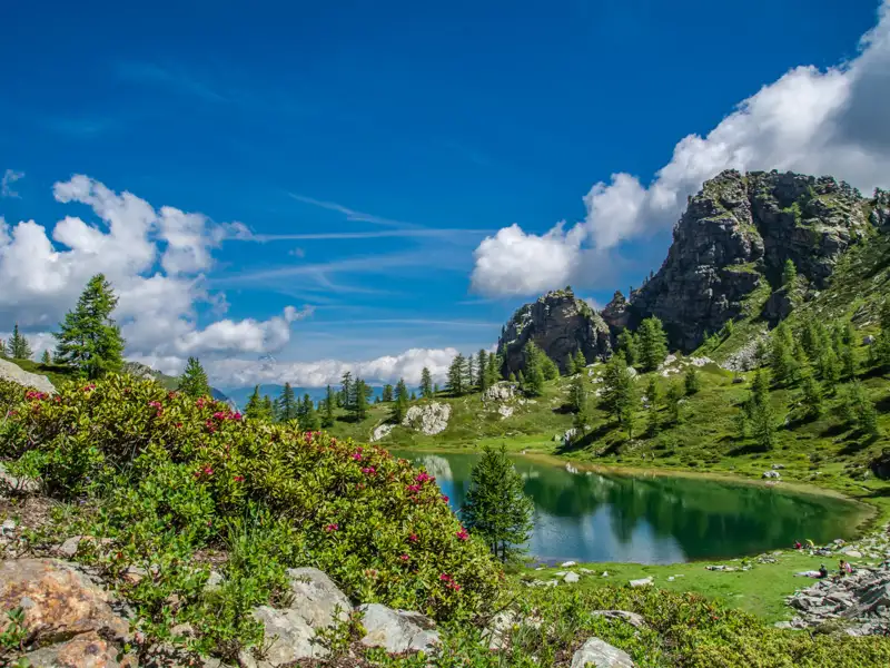 Alpenpanorama mit Bergsee und blühenden Alpenrosen.