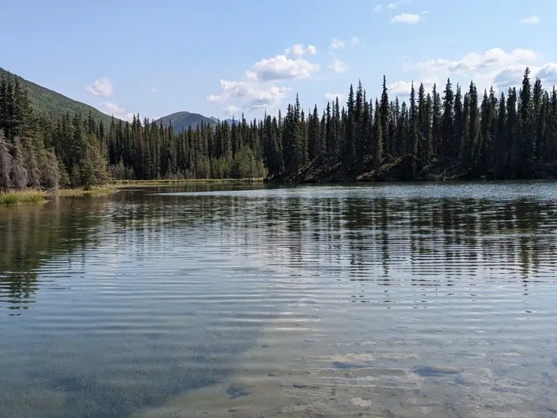 Ein klarer Bergsee mit Spiegelungen der umliegenden Nadelbäume und Berge.