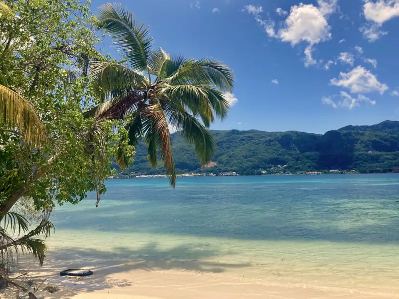 Palmengesäumter Strand mit Blick auf die Berge und türkisfarbenes Wasser.