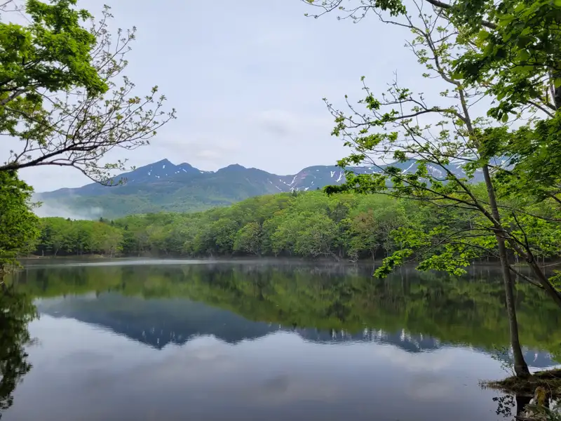Ruhiger See mit Spiegelung der Berge und Bäume.