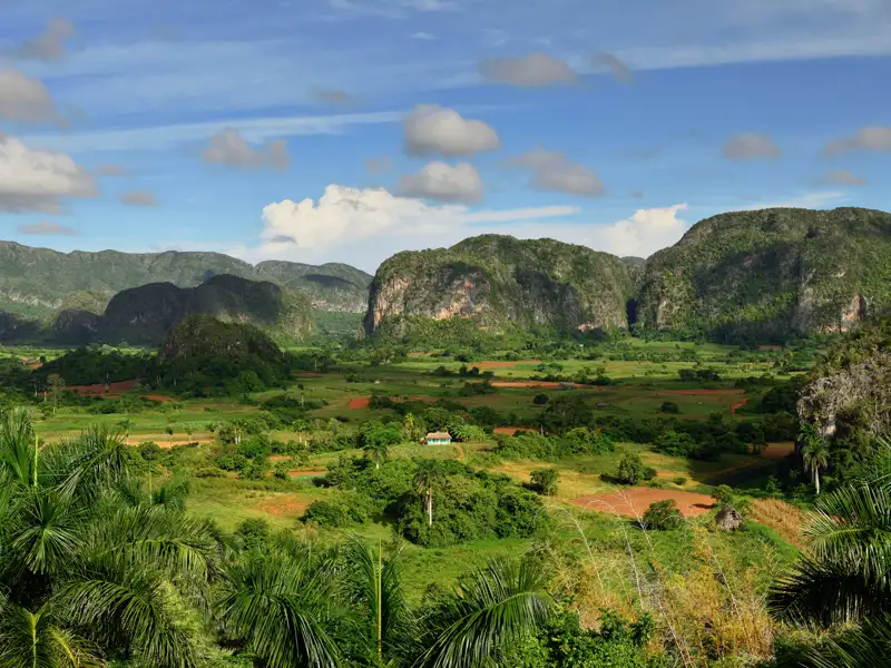 Das farbenfrohe Callejon de Hamel in Havanna mit dem Schild 'Callejon de Hamel'.
