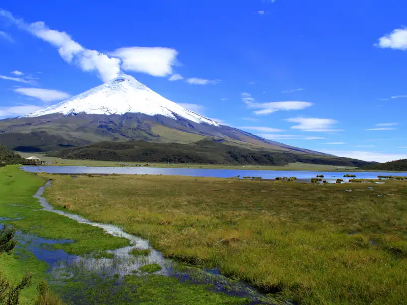 Der Cotopaxi Vulkan, der höchste aktive Vulkan Ecuadors, dominiert die Landschaft.  Im Vordergrund befindet sich ein See und Feuchtgebiete.