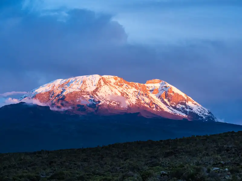 Der Kilimandscharo, Afrikas höchster Berg, im Morgengrauen.