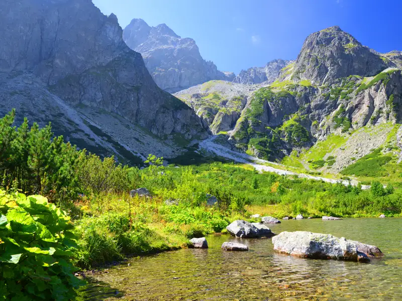 Panorama eines Bergsees mit umliegenden Gipfeln und üppigem Grün.