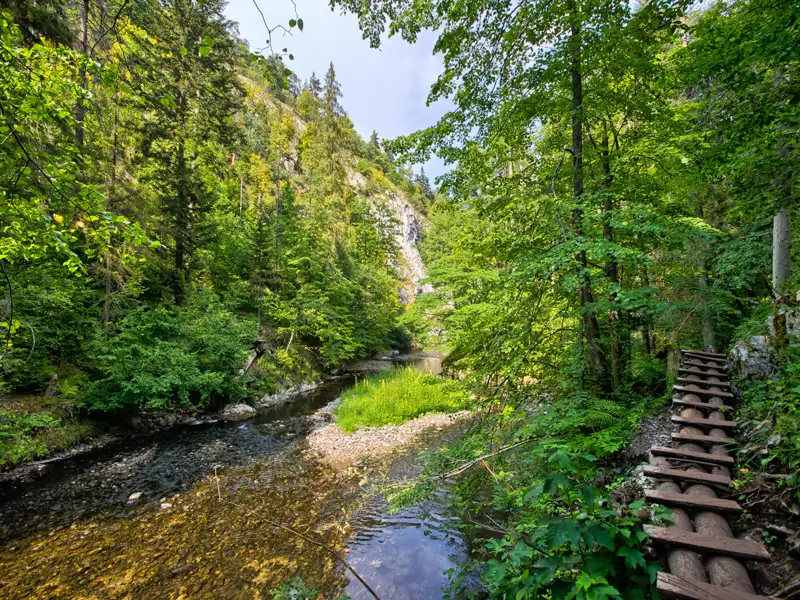 Holzsteg entlang eines Flusses in einem bewaldeten Tal.