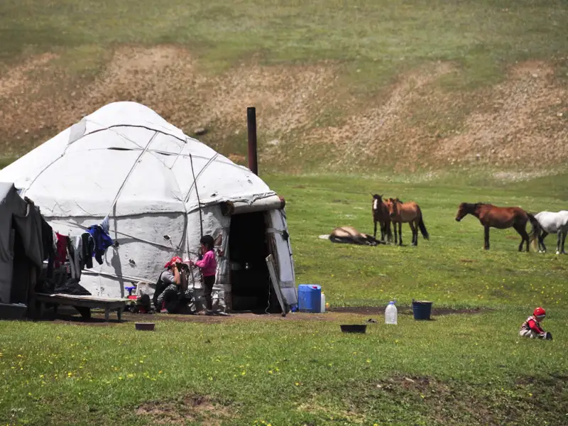 Traditionelle Jurtenunterkunft mit Familienaktivitäten und grasenden Pferden im Hintergrund.