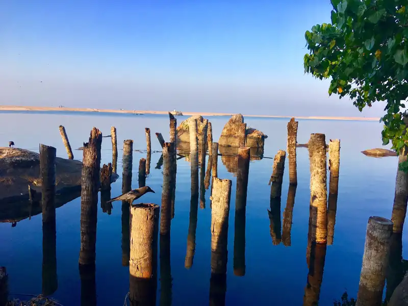 Holzpfähle im Wasser mit einem Vogel, der auf einem der Pfähle sitzt.