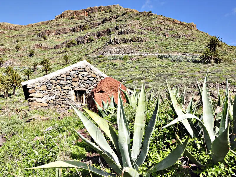 Traditionelles Steinhaus mit Agaven und Palmen vor einem Hügel.