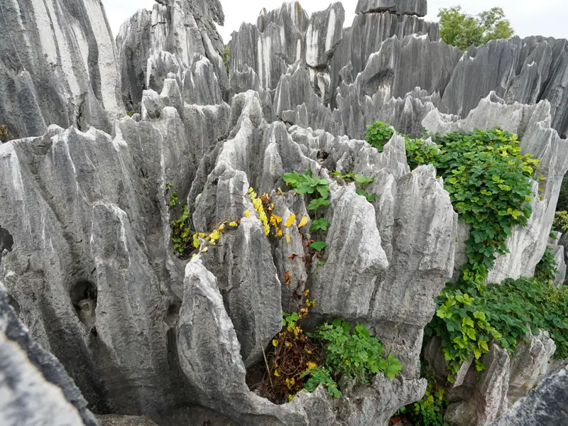 Detailansicht der Felsformationen mit spärlichem Pflanzenwuchs.