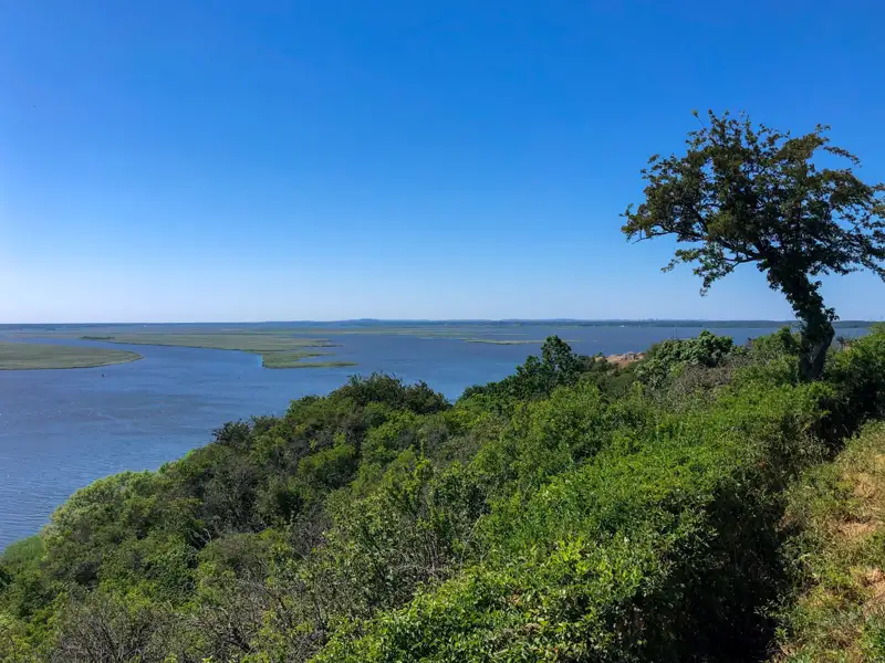 Traditionelles Fachwerkhaus mit Reetdach und Holzzaun.