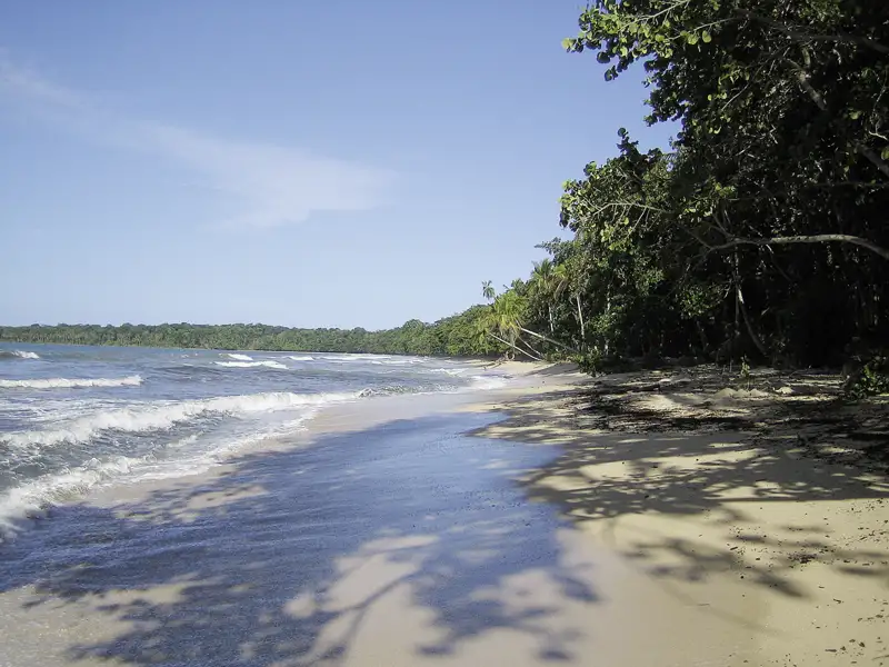 Weißer Sandstrand mit Palmen und türkisfarbenem Wasser.