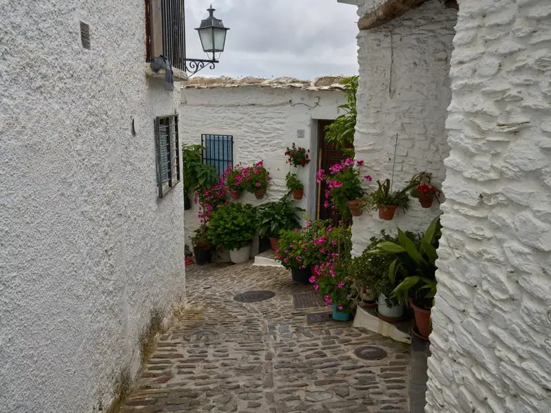 Schmale Gasse mit weiß getünchten Häusern und blühenden Blumen in Töpfen.