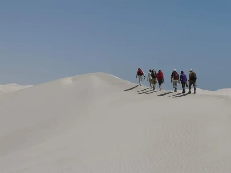 Wandergruppe auf einer Sanddüne.