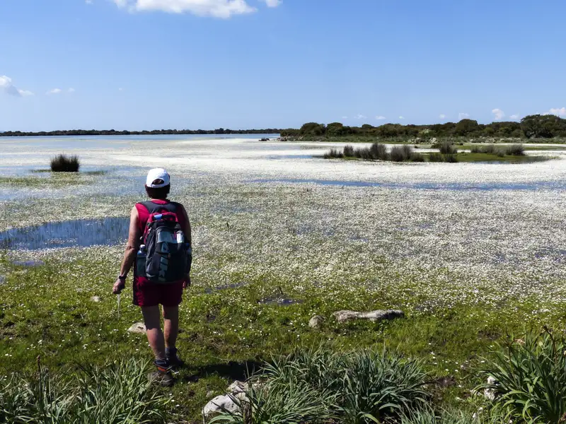 Wanderer am Ufer eines mit weißen Blüten bedeckten Gewässers.