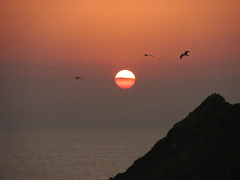 Sonnenuntergang über dem Meer mit fliegenden Vögeln und einer felsigen Küste.
