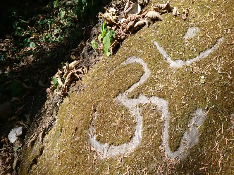 Om-Symbol auf einem bemoosten Felsen.
