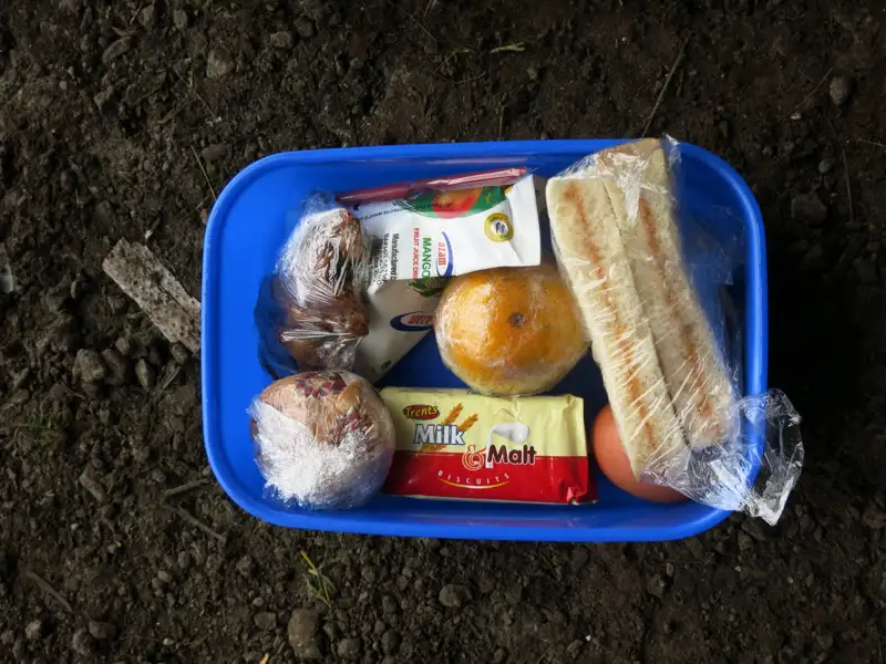 Lunchbox mit Reiseverpflegung: Sandwiches, Orange, Ei, Muffin und Getränk.