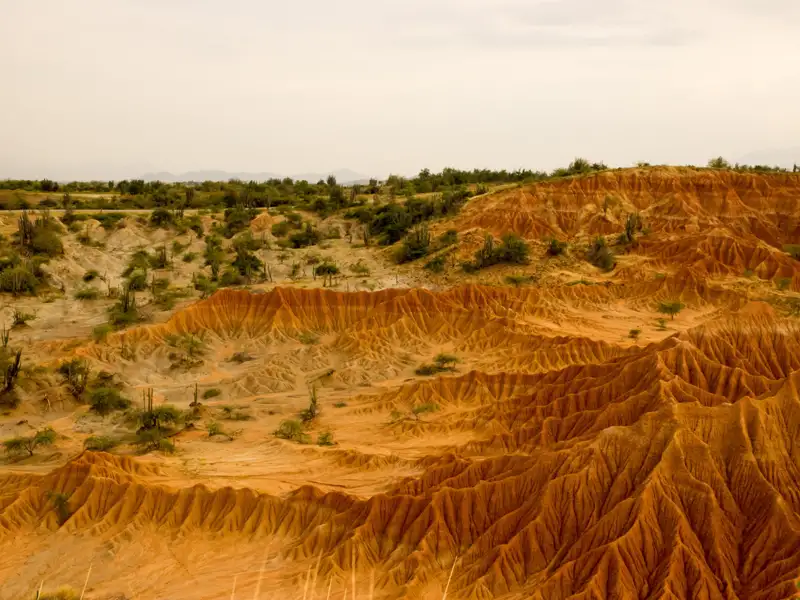 Erodierte Sanddünenlandschaft mit spärlicher Vegetation.
