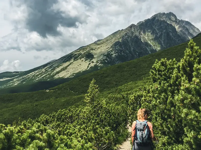 Wanderer auf einem Bergpfad inmitten grüner Vegetation mit Blick auf einen felsigen Gipfel.