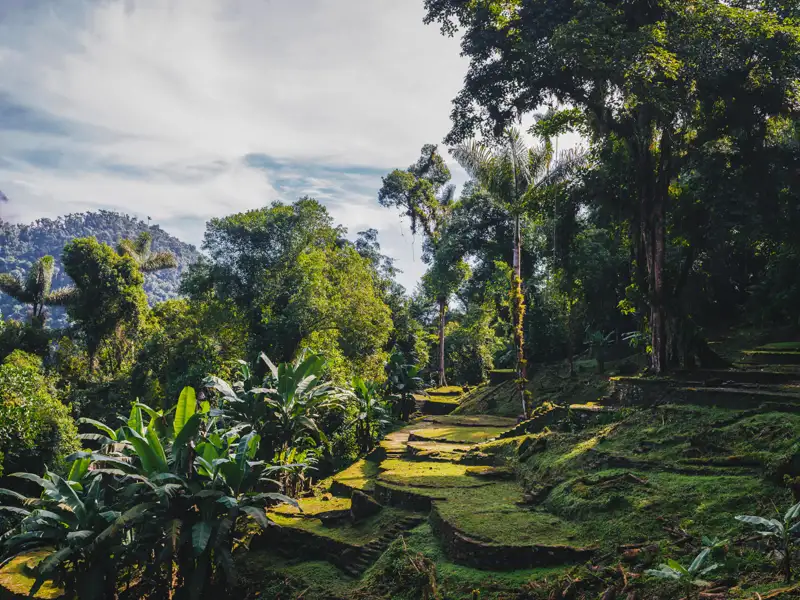 Alte Terrassen, bedeckt mit Moos, im dichten Dschungel.