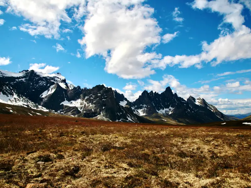 Schneebedeckte Bergkette mit braunem, flachem Vordergrund.