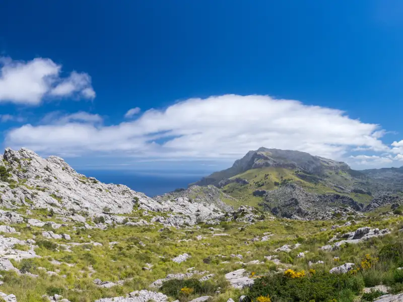 Felsige, grüne Hügellandschaft mit Blick auf das Meer und einen Berg im Hintergrund.