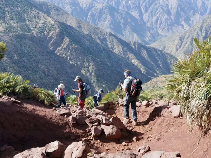 Wanderer mit Trekkingstöcken auf einem rötlichen Bergpfad inmitten von Pflanzen.