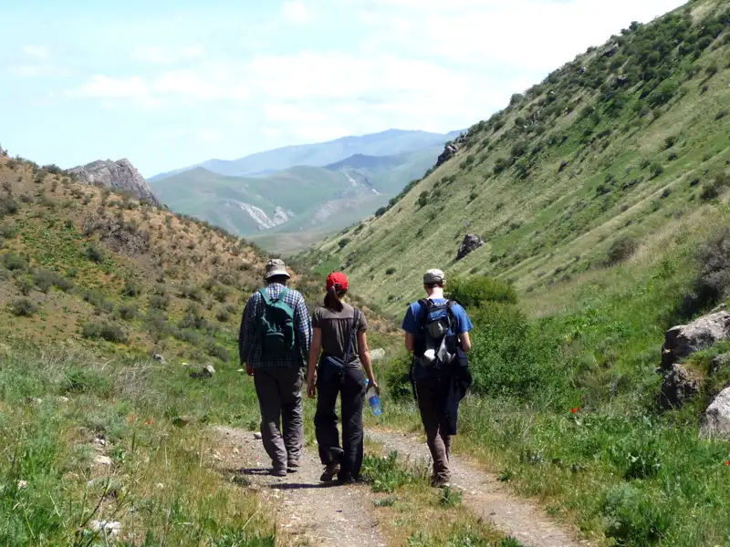 Drei Wanderer mit Rucksäcken auf einem Bergpfad.