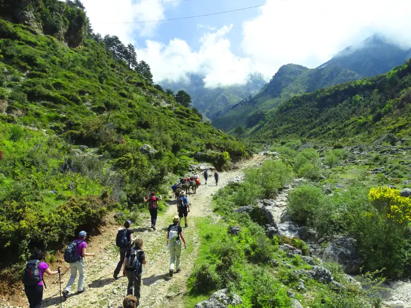 Wandergruppe auf einem Bergpfad.