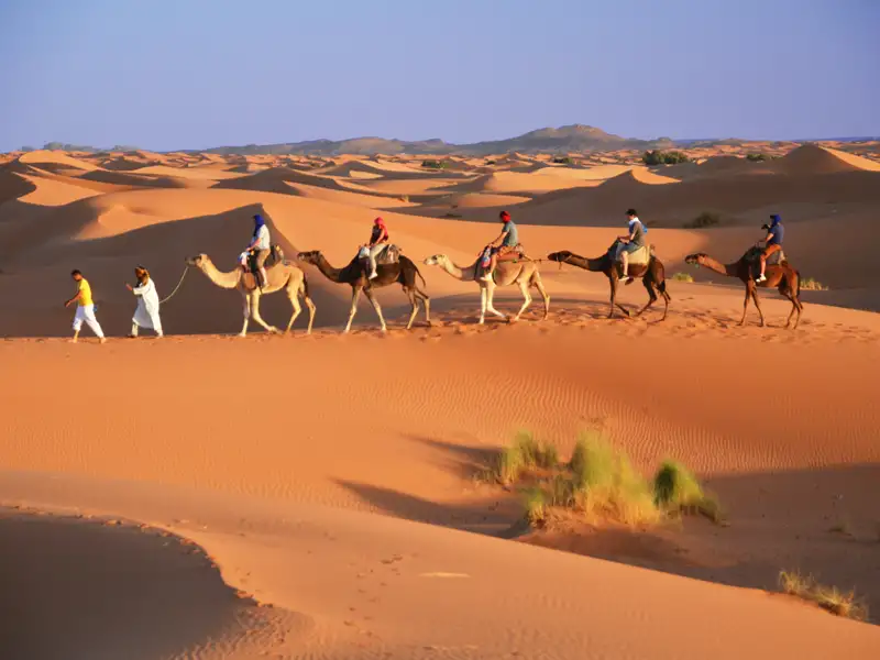 Kamelkarawane in der Wüste.