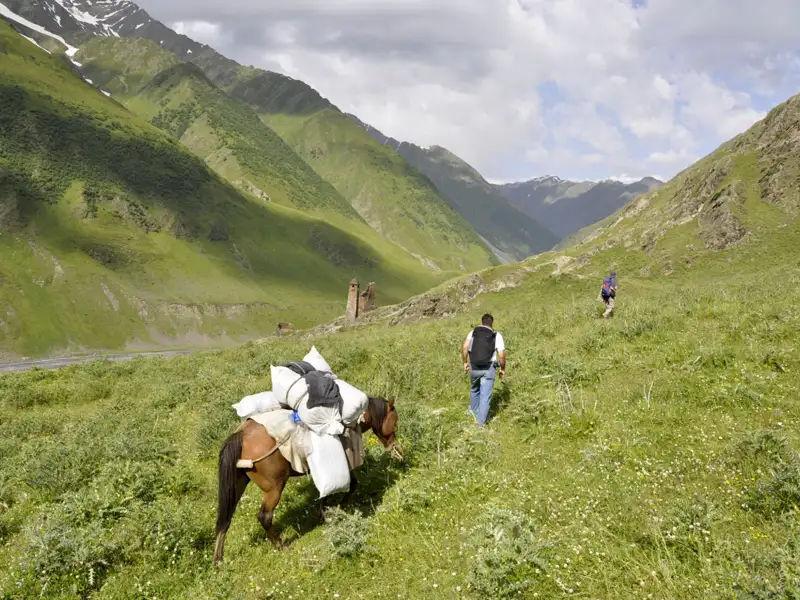 Gelbe Lilien blühen im Vordergrund mit einem Panoramablick auf schneebedeckte Berge im Hintergrund.