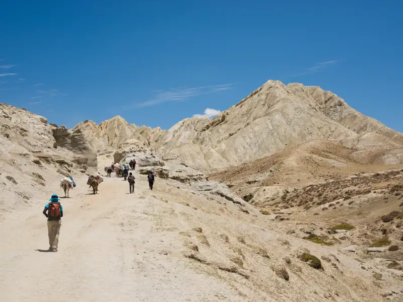Wanderer und Packtiere auf einem Bergpfad in einer trockenen Landschaft.