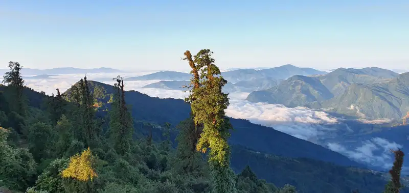 Panoramablick auf bewaldete Berghänge und ein Wolkenmeer.