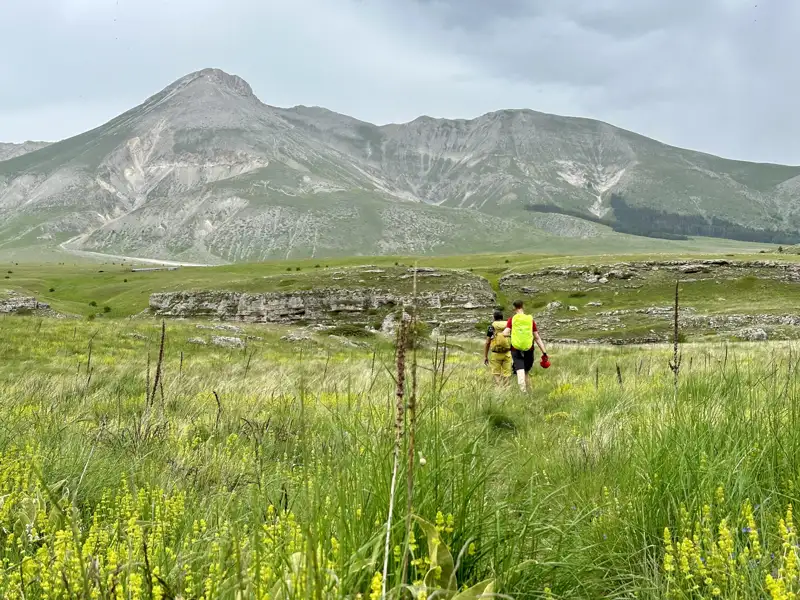 Zwei Wanderer auf einer Bergwanderung durchqueren eine grüne Wiese. Im Hintergrund erhebt sich ein imposanter Berg.