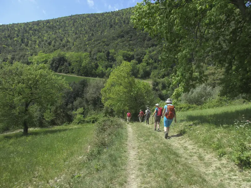 Wanderer auf einem Wanderweg inmitten grüner Landschaft.