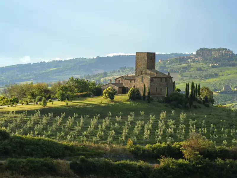 Toskanisches Landhaus mit Olivenhainen und Weinbergen im Hintergrund.