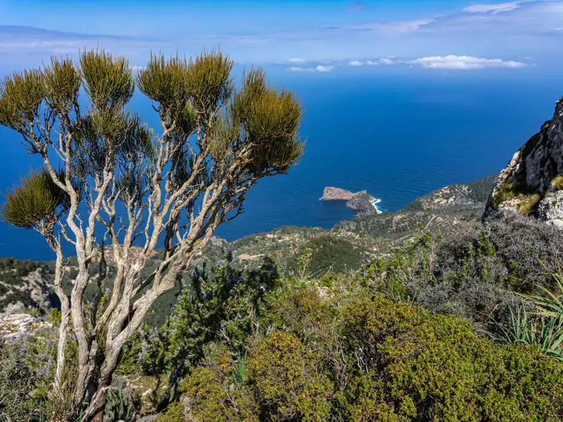Panoramablick vom Berg auf das Meer und eine vorgelagerte Insel.