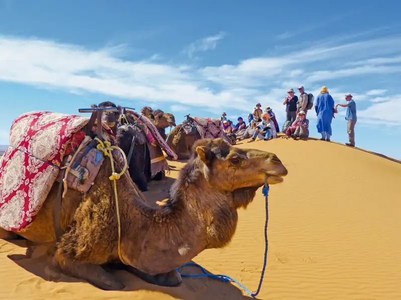 Reisegruppe ruht auf einer Düne während einer Kamelwanderung.
