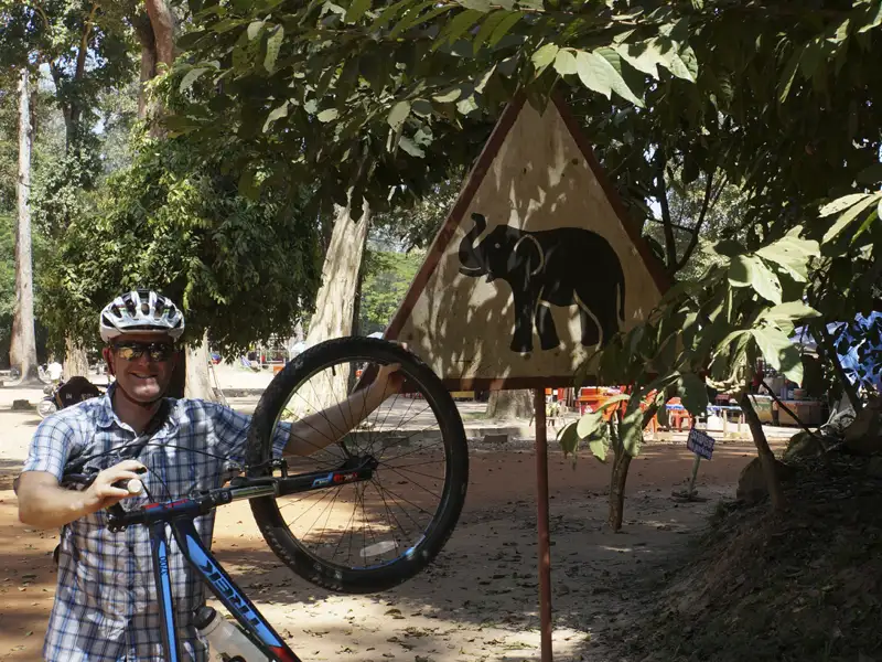 Radfahrer pausiert an einem Elefanten-Warnschild.