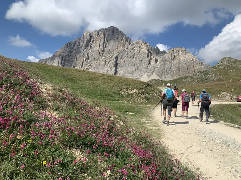 Wanderer mit Wanderstöcken auf einem Bergpfad. Im Hintergrund erhebt sich ein felsiger Gipfel.