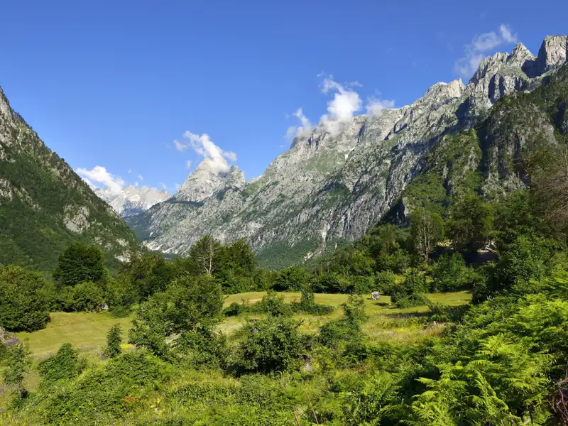 Panoramablick auf ein Gebirgstal mit üppiger Vegetation im Vordergrund und hohen, felsigen Gipfeln im Hintergrund.
