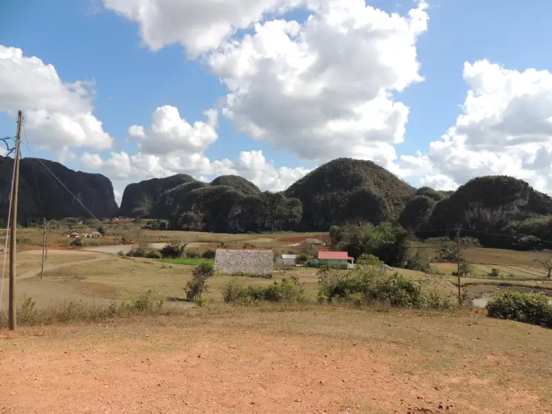 Typische Hügellandschaft mit Mogotes im Viñales-Tal auf Kuba.