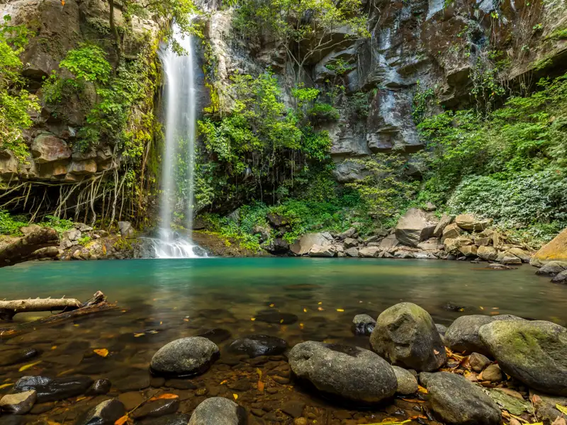 Wasserfall mit türkisfarbenem Becken inmitten üppiger Vegetation.