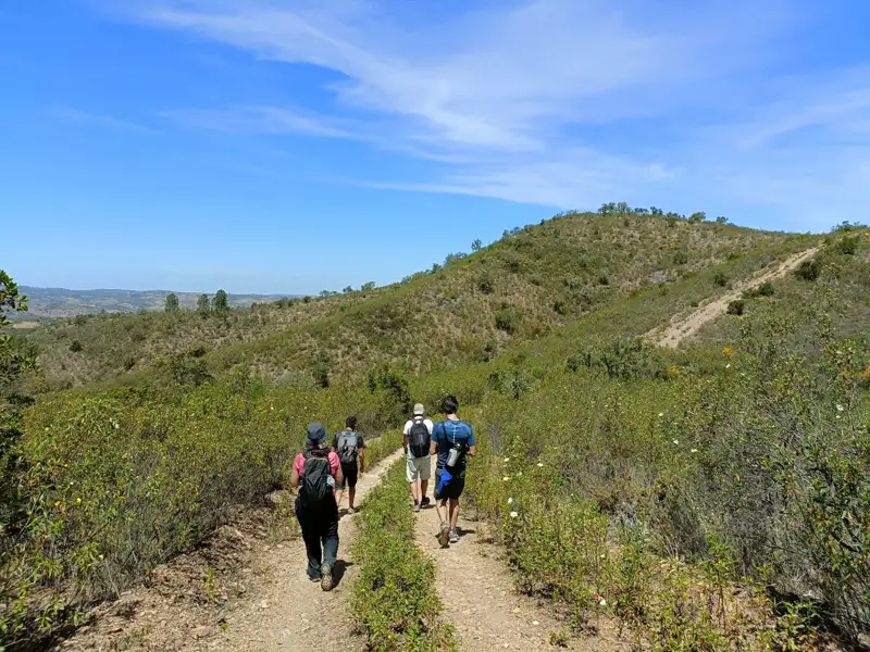Wanderer auf einem Bergpfad inmitten grüner Vegetation.