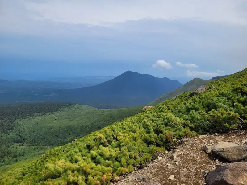 Blick von einem bewachsenen Berghang auf eine Bergkette im Hintergrund.