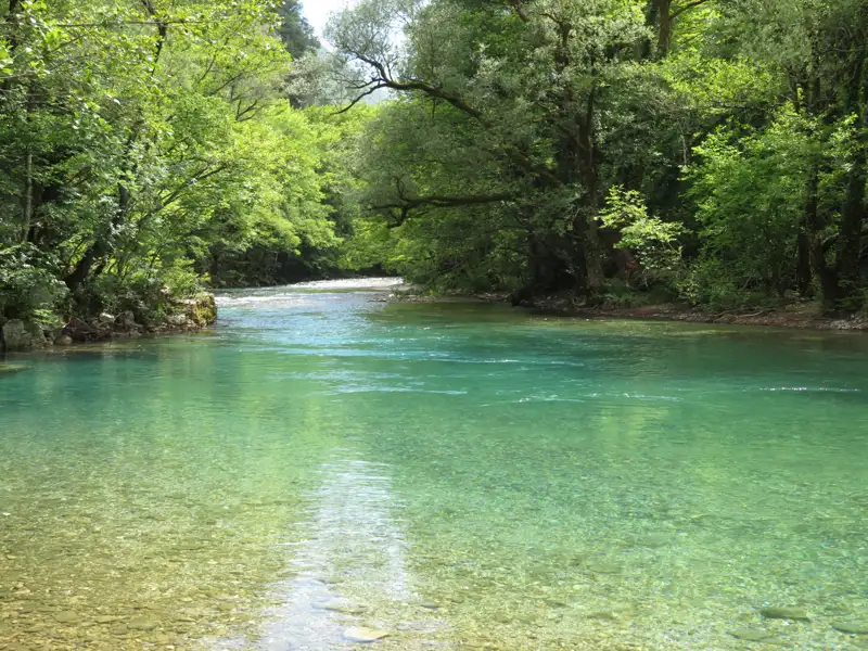Klares Flusswasser inmitten einer üppigen grünen Landschaft.