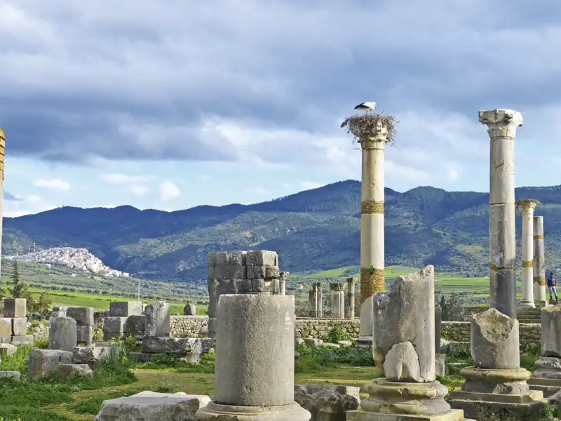 Antike römische Säulen in Volubilis mit einem Storchennest und Hügeln im Hintergrund.