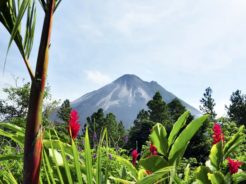 Vulkan mit tropischer Vegetation im Vordergrund.