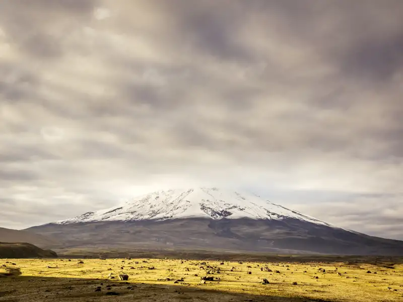 Panoramablick auf einen schneebedeckten Vulkan und die umliegende Landschaft.