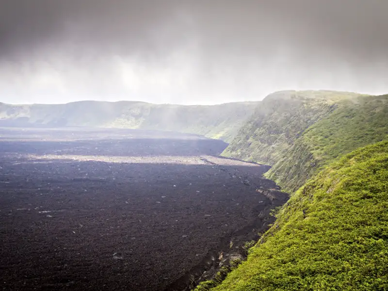Kontrast zwischen dem dunklen Lavafeld und der grünen Vegetation.